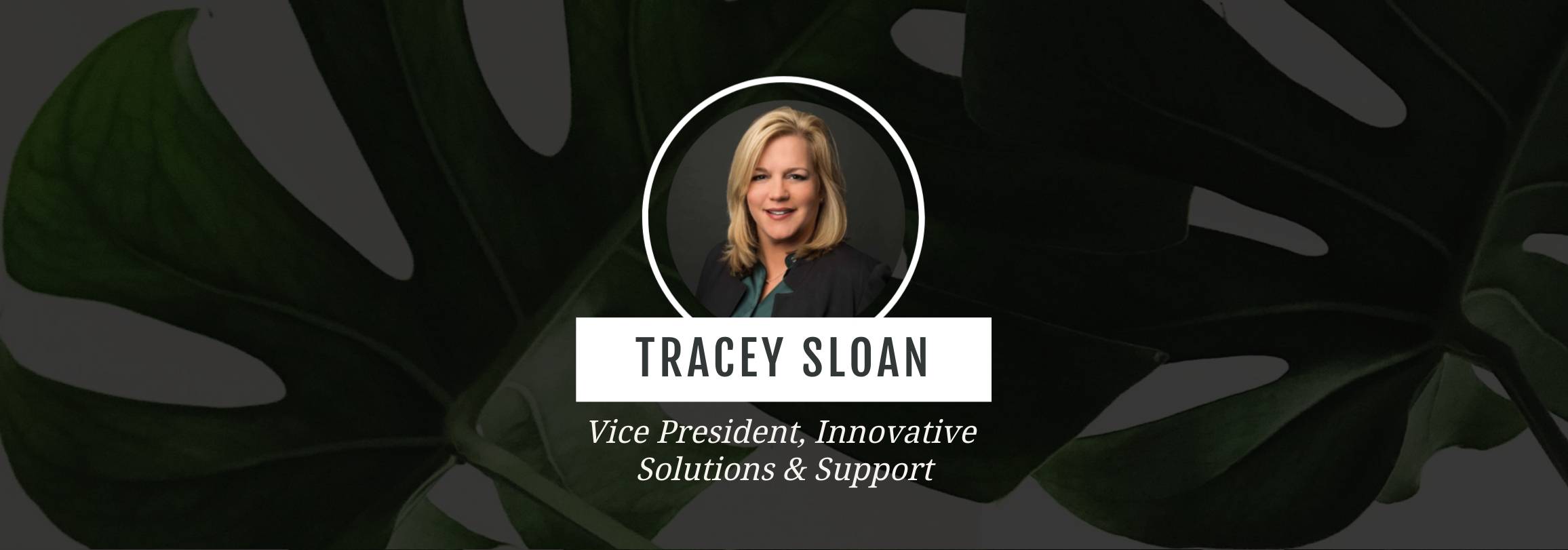Tracey Sloan VP Innovative Solutions & Support