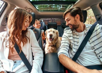 Mom and Dad with their daughter and a Labrador dog are sitting in the car